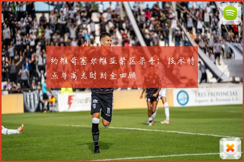 约维奇塞尔维亚禁区杀手:技术特点与高光时刻全回顾