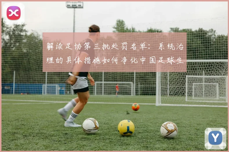 解读足协第三批处罚名单：系统治理的具体措施如何净化中国足球生态
