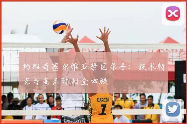 约维奇塞尔维亚禁区杀手:技术特点与高光时刻全回顾
